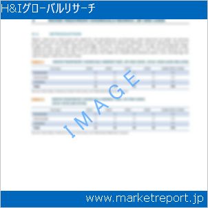市場と産業調査レポートのイメージ
